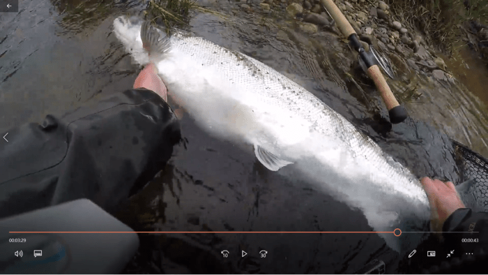 416067FEC5194C1CA4A4AD45A70A8315[2738]