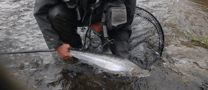 61404790_2647517601944210_1251674910254694400_n