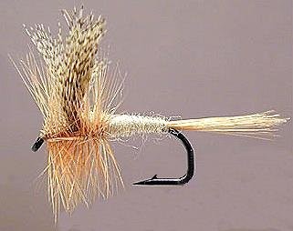 Light Cahil dry fly